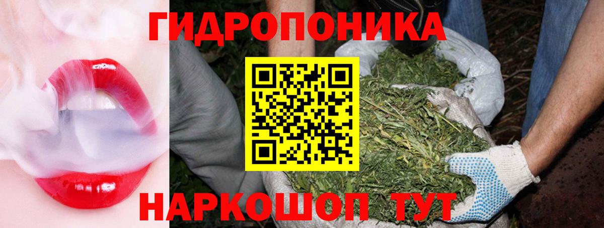 Шишки марихуана Amnesia Лабытнанги